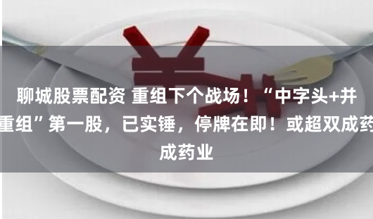 聊城股票配资 重组下个战场！“中字头+并购重组”第一股，已实锤，停牌在即！或超双成药业