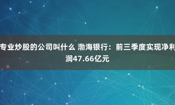 专业炒股的公司叫什么 渤海银行：前三季度实现净利润47.66亿元