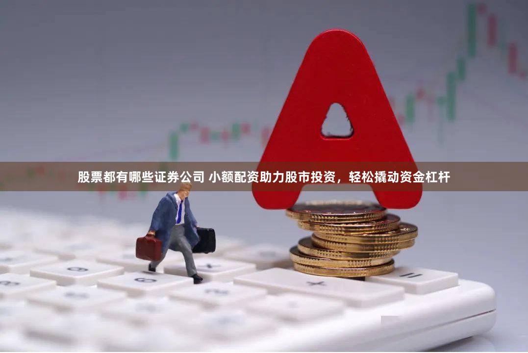 股票都有哪些证券公司 小额配资助力股市投资，轻松撬动资金杠杆